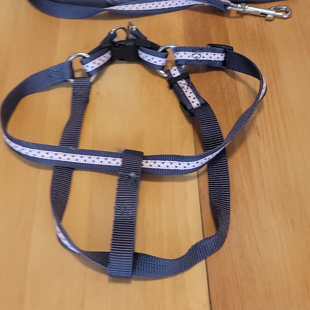 Femle Dog Polkadot HARNESS and MATCHING LEASH